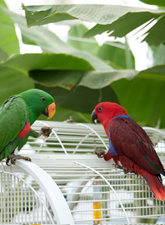 초록색 앵무새가 옆을 바라보고 있는 모습